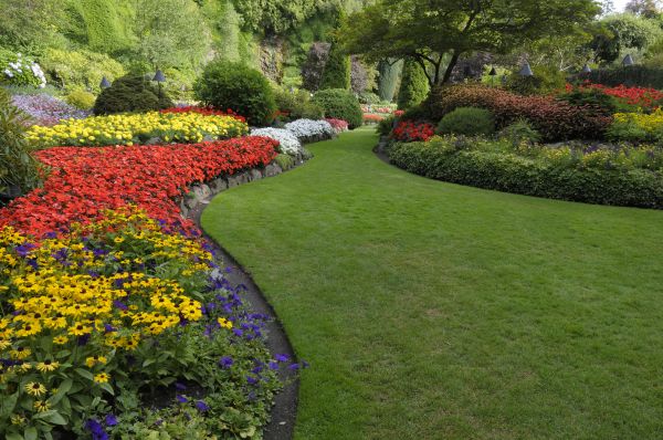 Landscaping Maintenance in Plymouth