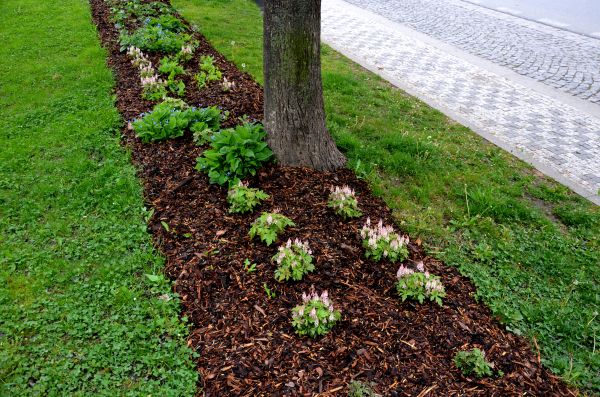 Mulch Replacement Service in Plymouth