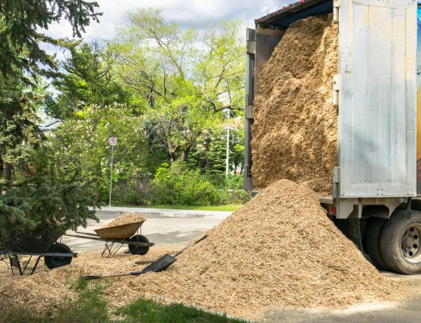 Wood Chips Delivery in Plymouth