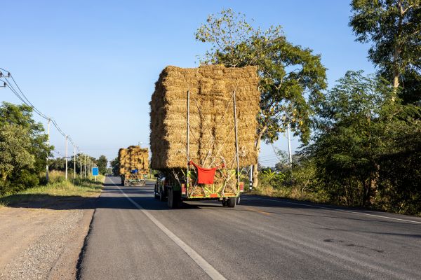 Pine Straw Delivery in Plymouth