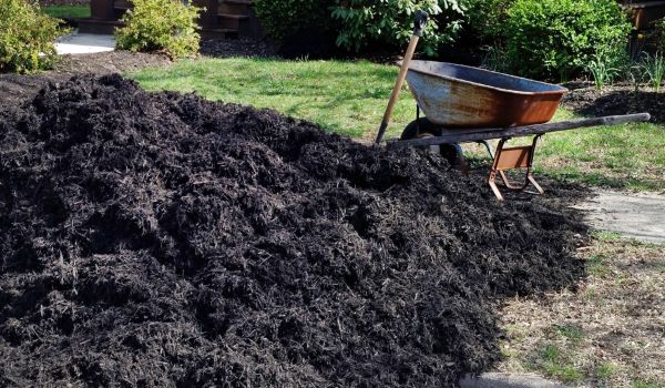Black Mulch Delivery in Plymouth