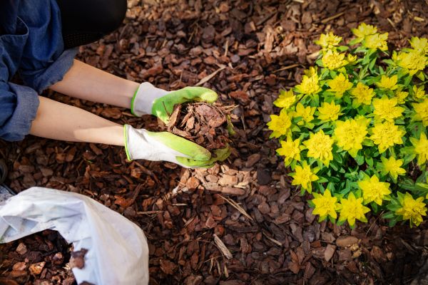 Garden Mulching in Plymouth