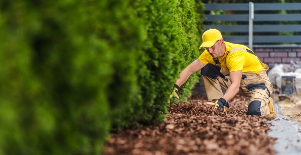 Cypress Mulch Installation in Plymouth