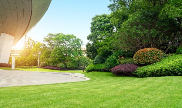 Business Landscape Design in Plymouth