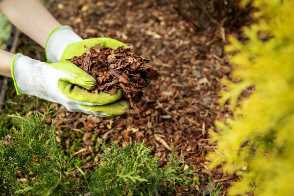 Garden Mulch Delivery in Plymouth