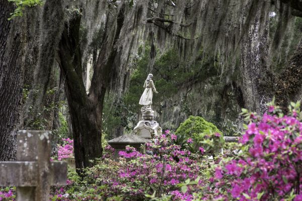 Cemetery Landscaping in Plymouth