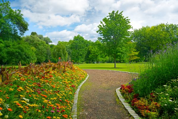 Park Landscaping in Plymouth