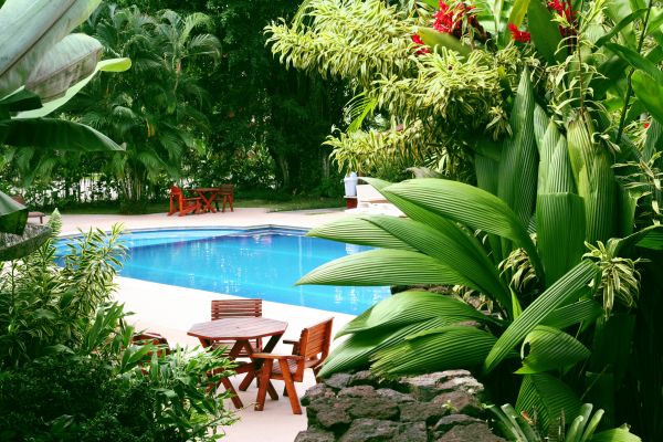 Tropical Garden Landscaping in Plymouth