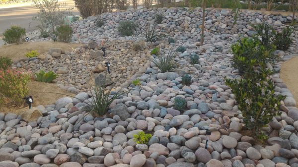 Yard Xeriscaping in Plymouth