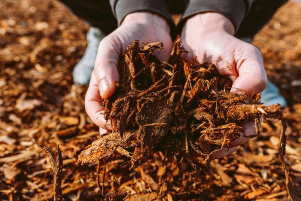 Bark Chips Delivery in Plymouth