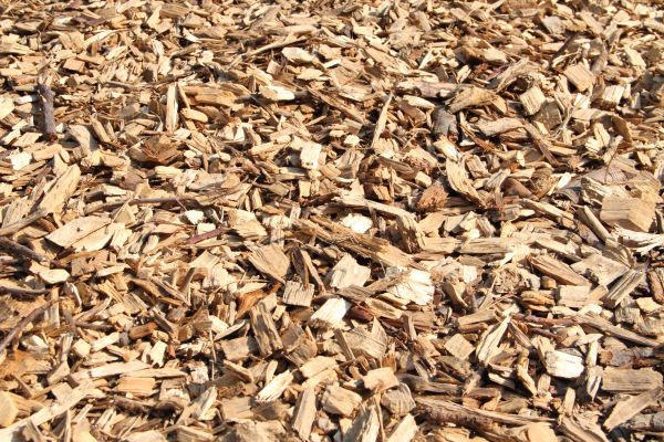 Wood Mulch Delivery in Plymouth
