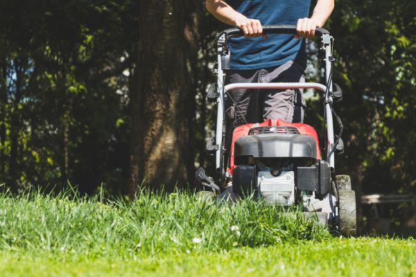 Garden Trimming Service in Plymouth