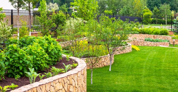 Yard Makeover Service in Plymouth