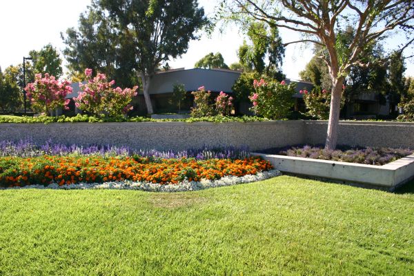 Commercial Landscape Service in Plymouth