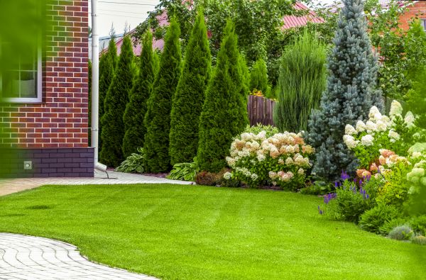 Spring Landscaping in Plymouth