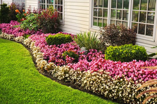 Garden Landscape Design in Plymouth