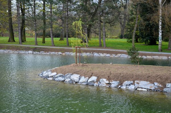 Pond Landscaping Service in Plymouth