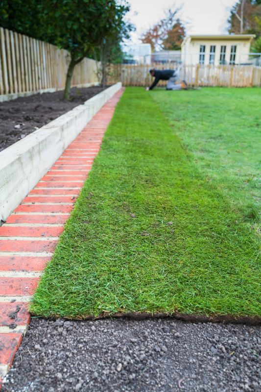 Lawn Edging Replacement