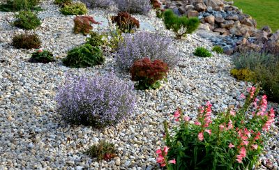 Rock Garden Installation